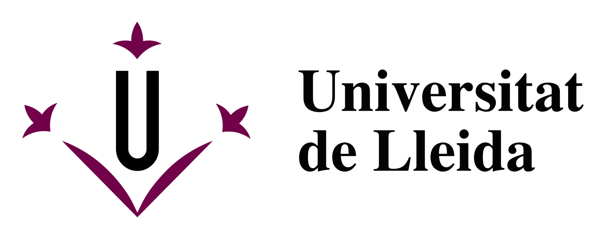 2560px-Logo_Universitat_de_Lleida.svg_